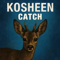 Kosheen - Catch слушать онлайн