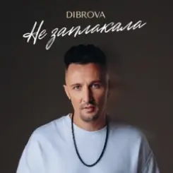DIBROVA - Не заплакала слушать онлайн