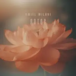 Amiel Milavi - Лотос слушать онлайн