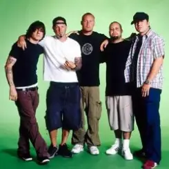 Limp Bizkit - Counterfeit (Lethal Dose Remix) слушать онлайн