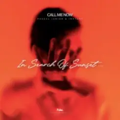 Pascal Junior & Inktone - Call Me Now слушать онлайн