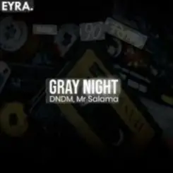 DNDM, Mr Salama - Gray Night слушать онлайн