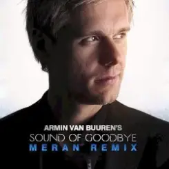Armin van Buuren - The Sound Of Goodbye (Radio Edit) слушать онлайн