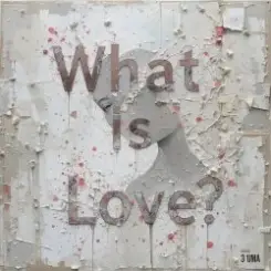 Haddaway - What Is Love (Serge Gri Tech ver cover) слушать онлайн