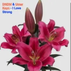 DNDM & Umar Keyn - I Love Strong слушать онлайн