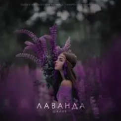 Шалих - Лаванда слушать онлайн