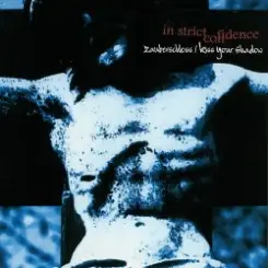 In Strict Confidence - Kiss Your Shadow (Das Ich Remix) слушать онлайн