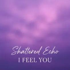 Shattered Echo - I Feel You слушать онлайн