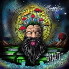 Psydewise - Genetic Reflection слушать онлайн