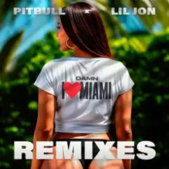 Pitbull & Lil Jon - Damn I Love Miami (Apollo XO Remix) слушать онлайн