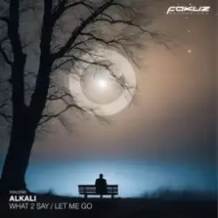 Alkali. - Let Me Go слушать онлайн