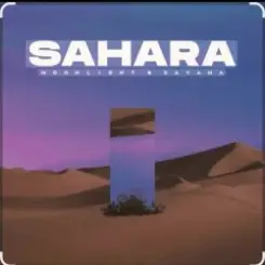 Moonlight  &  Dayana - Sahara слушать онлайн