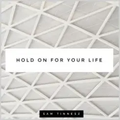 Sam Tinnesz - Hold on for Your Life (Acoustic) слушать онлайн