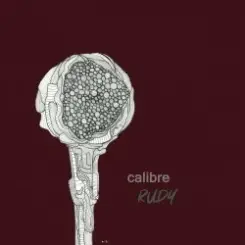 Calibre - Warbling слушать онлайн