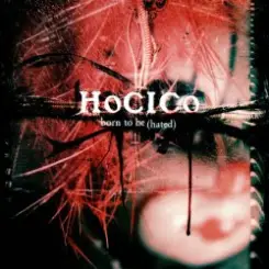 Hocico - Embraced By The Light слушать онлайн
