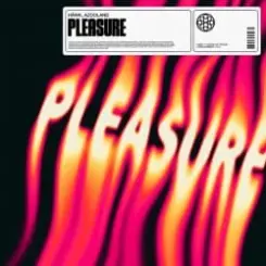 HAWK - Pleasure (feat. Azooland) слушать онлайн