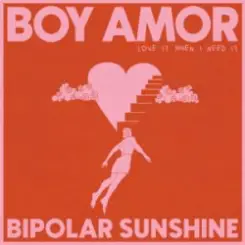 Boy Amor & Bipolar Sunshine - Love It When I Need It слушать онлайн