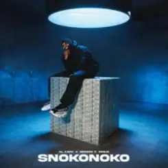 Al Xapo & Benzoo & EeQue - SNOKONOKO слушать онлайн