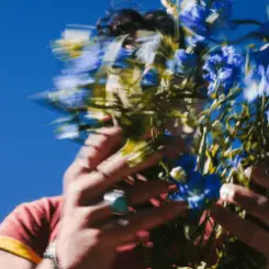 Joe Jonas - Honey Blonde слушать онлайн