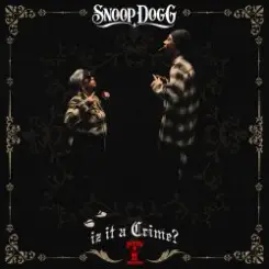 Snoop Dogg feat. Stresmatic - ShutYoBitchAssUp слушать онлайн