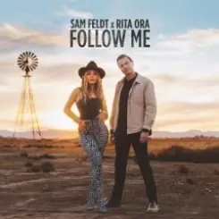 Sam Feldt - What About The Love слушать онлайн