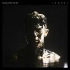 Sub Focus feat. Culture Shock - Move Higher слушать онлайн