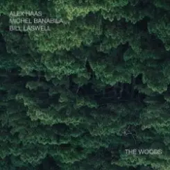 Bill Laswell - Outer Woo слушать онлайн