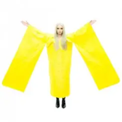 Poppy - Mind Aide слушать онлайн