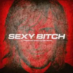 David Guetta, Akon - Sexy Bitch (DJ Freedom Radio Edit) слушать онлайн