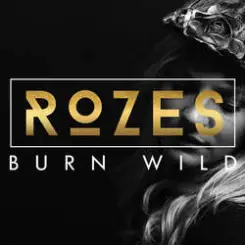 Rozes - Everything слушать онлайн