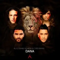 Ali B, Cheb Rayan & R3hab feat. Numidia - Dana слушать онлайн