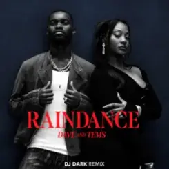 Dave & Tems - Raindance (Dj Dark Remix) слушать онлайн