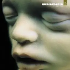 Rammstein - Asche Zu Asche слушать онлайн