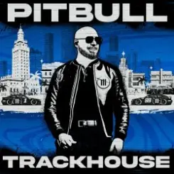 Pitbull - Pata Sucia слушать онлайн