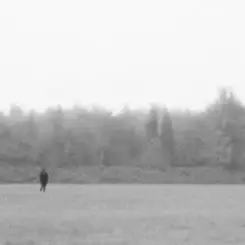 EKKSTACY - i walk this earth all by myself слушать онлайн