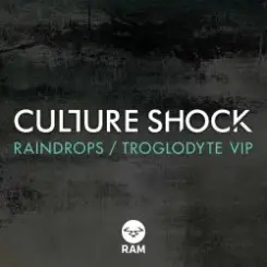 Culture Shock - Troglodyte (VIP) слушать онлайн