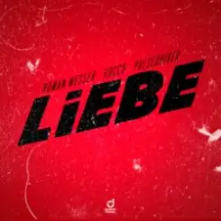 Roman Messer & Rocco & Pulsedriver - Liebe слушать онлайн