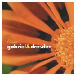 Gabriel & Dresden - Lament слушать онлайн