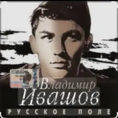 Владимир Ивашов - Поле, русское поле слушать онлайн