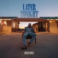 Josh Ross - Hate How You Look слушать онлайн