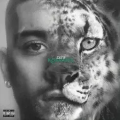 ZAYN - Die For Me слушать онлайн
