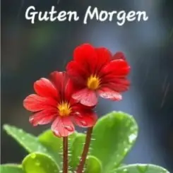 unknown - Guten Morgen guten tag слушать онлайн