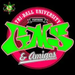 GMS & Amigos - We're Having A Party слушать онлайн
