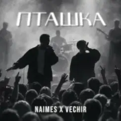 NAIMES & VECHIR - пташка слушать онлайн