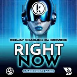 Deejay Shaolin & DJ Brownie - Right Now слушать онлайн