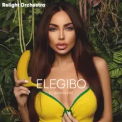 Relight Orchestra - Elegibo (Dj Dark Remix) слушать онлайн