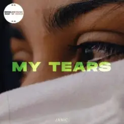 Janic & ANANEV - Hard to See слушать онлайн