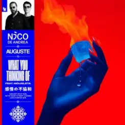 Nico de Andrea & AUGUSTE & Mougleta - What You Thinking Of слушать онлайн