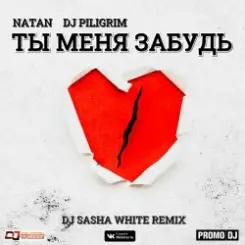 Natan & DJ Piligrim - Ты Меня Забудь слушать онлайн