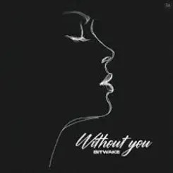 Bitwake - Without You слушать онлайн